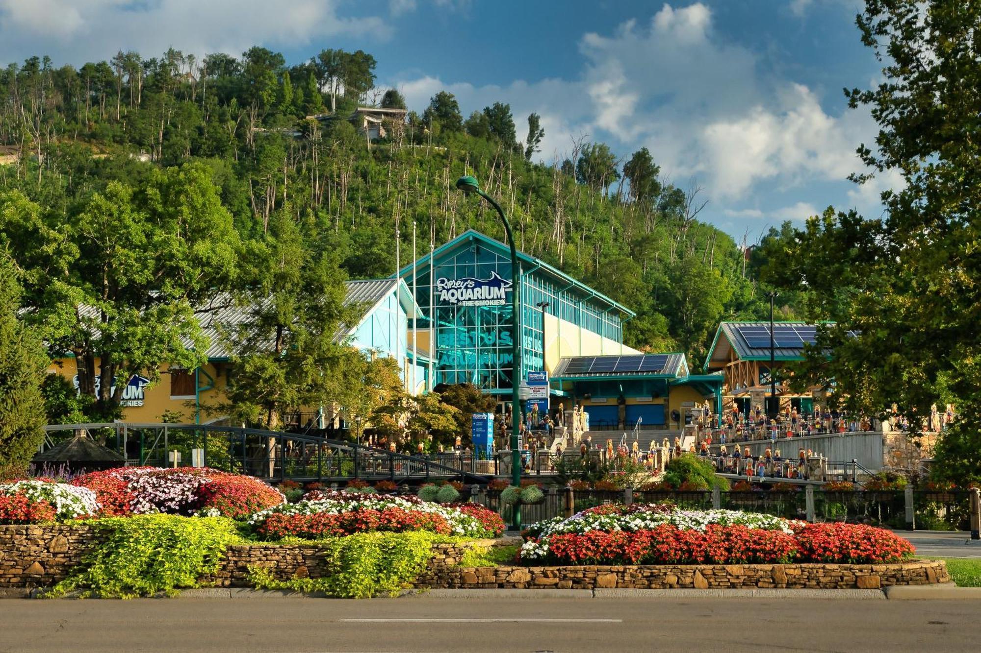 Vila Romance In The Smokies By Distinctive Getaways Gatlinburg Exteriér fotografie